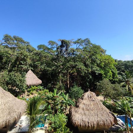 Colibri Parque Tayrona Dentro Del Parque Nacional Tayrona Bed & Breakfast El Zaino Bagian luar foto