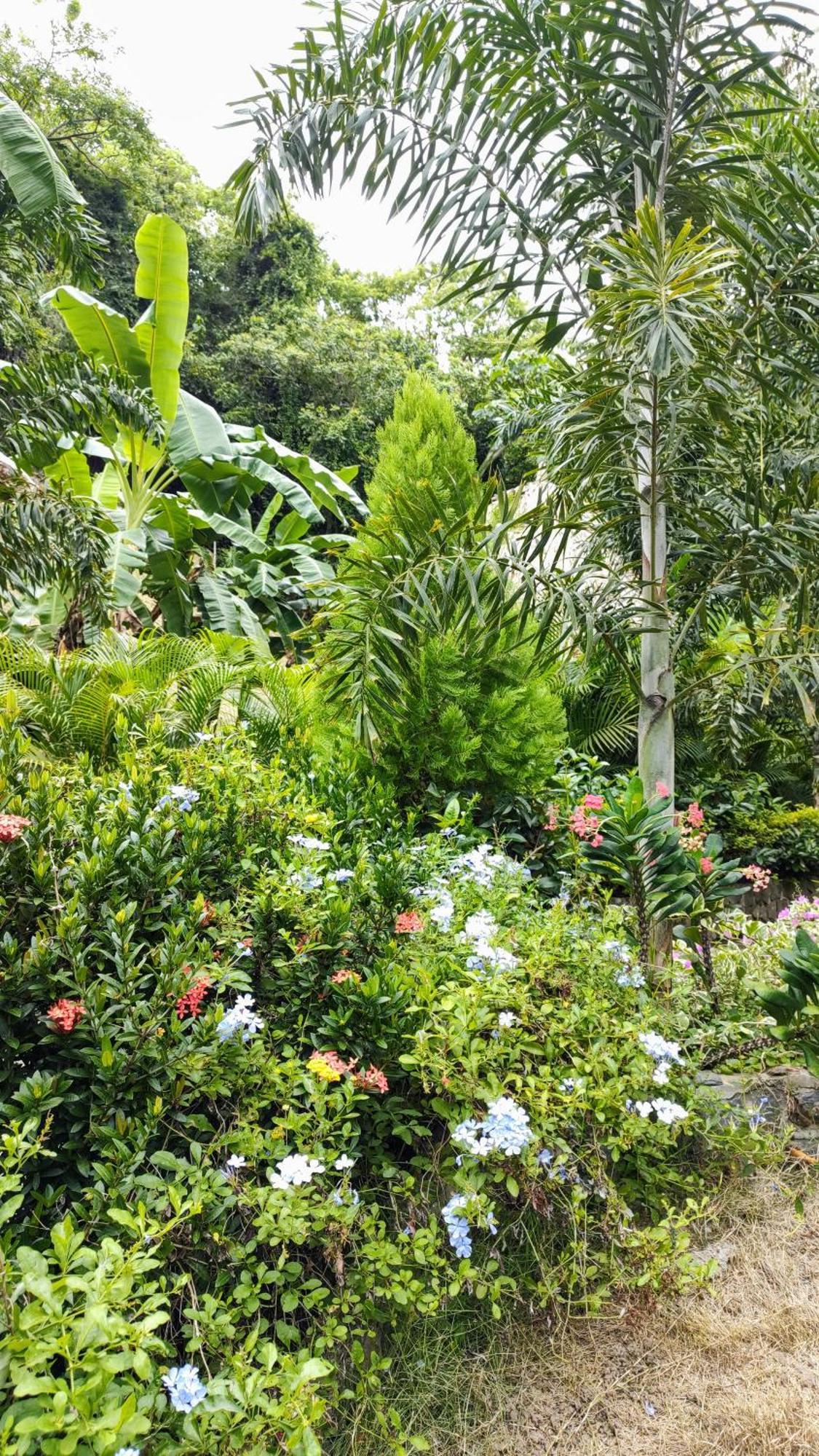 Colibri Parque Tayrona Dentro Del Parque Nacional Tayrona Bed & Breakfast El Zaino Bagian luar foto