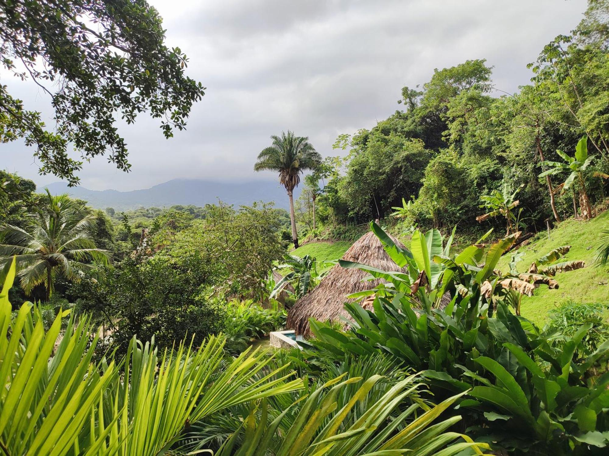 Colibri Parque Tayrona Dentro Del Parque Nacional Tayrona Bed & Breakfast El Zaino Bagian luar foto