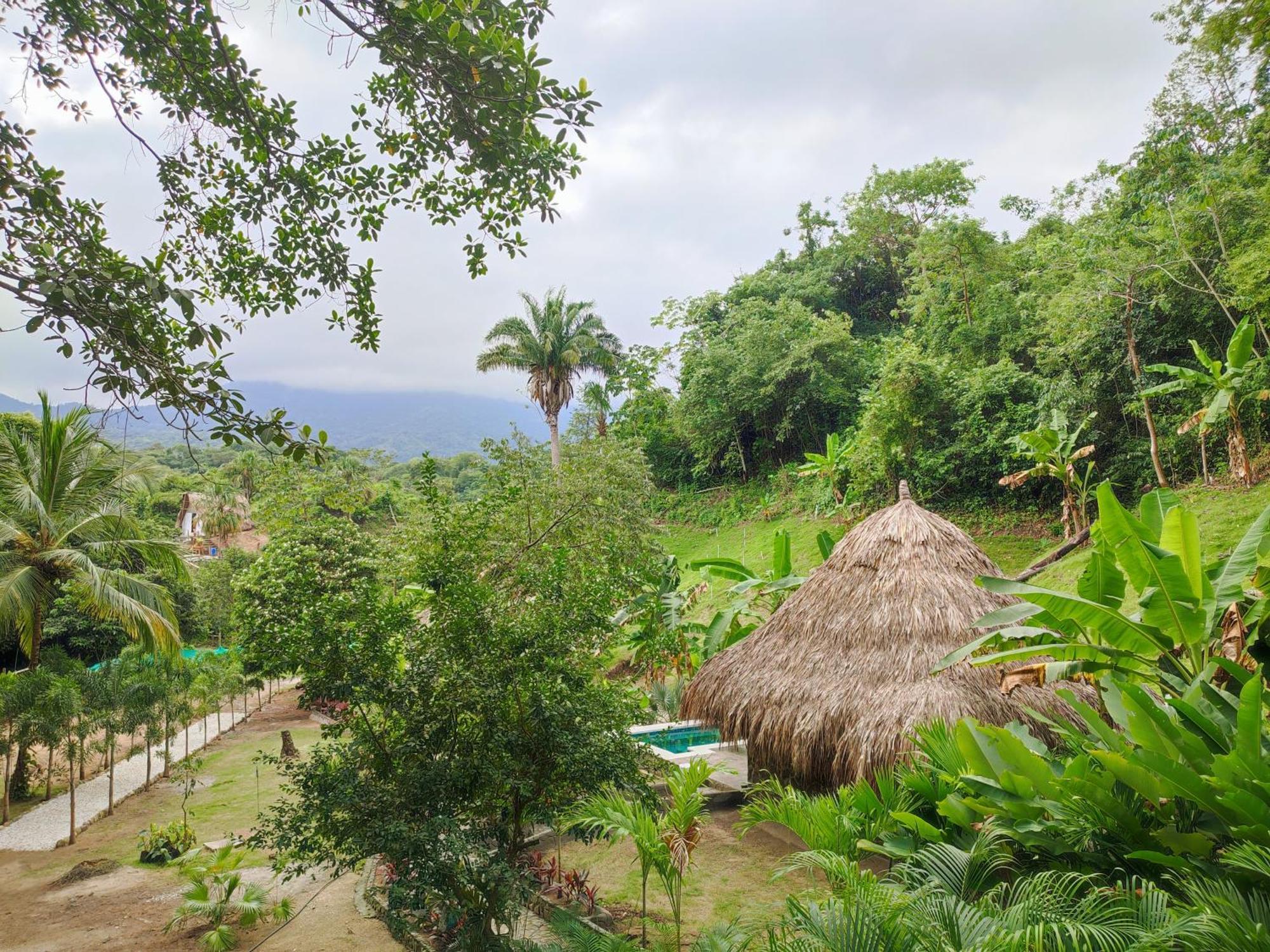 Colibri Parque Tayrona Dentro Del Parque Nacional Tayrona Bed & Breakfast El Zaino Bagian luar foto