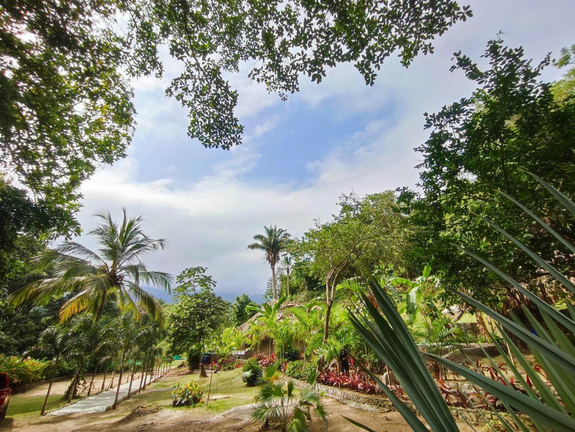 Colibri Parque Tayrona Dentro Del Parque Nacional Tayrona Bed & Breakfast El Zaino Bagian luar foto