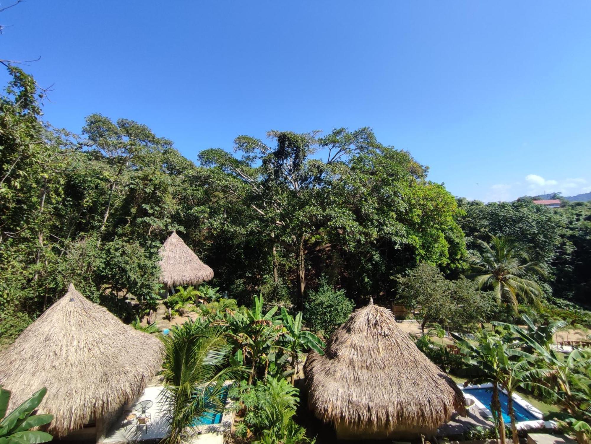 Colibri Parque Tayrona Dentro Del Parque Nacional Tayrona Bed & Breakfast El Zaino Bagian luar foto